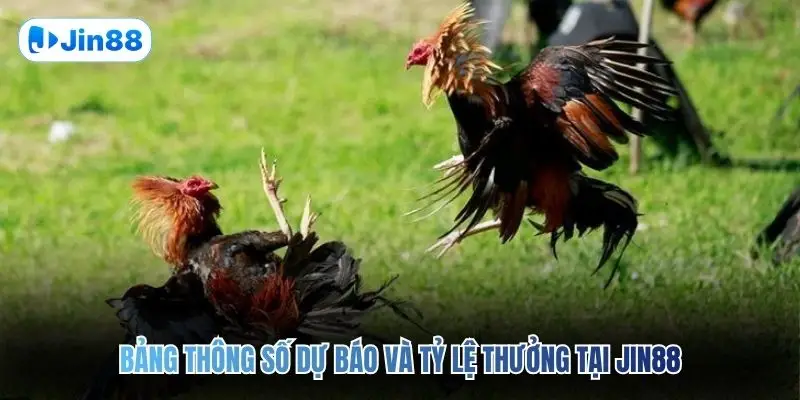 Đá Gà Thomo JIN88 – Quy Tụ 10+ Trận Đấu Mỗi Ngày - hình ảnh - vwkjgpsxh.top Đá Gà Thomo JIN88 – Quy Tụ 10+ Trận Đấu Mỗi Ngày - hình ảnh - vwkjgpsxh.top