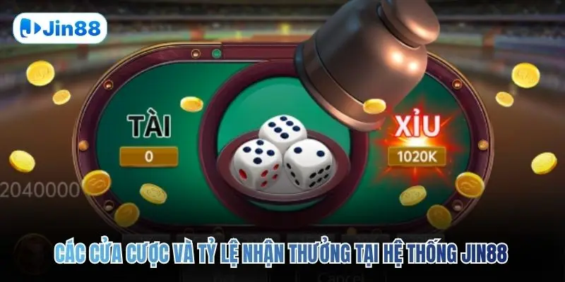 Tài Xỉu JIN88 – Top 5 Bí Quyết Để Về Bờ An Toàn 2026 - hình ảnh - vwkjgpsxh.top Tài Xỉu JIN88 – Top 5 Bí Quyết Để Về Bờ An Toàn 2026 - hình ảnh - vwkjgpsxh.top