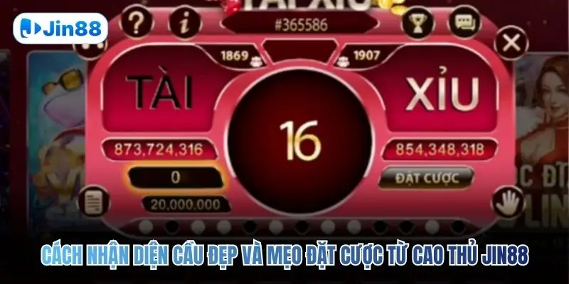 Tài Xỉu JIN88 – Top 5 Bí Quyết Để Về Bờ An Toàn 2026 - hình ảnh - vwkjgpsxh.top Tài Xỉu JIN88 – Top 5 Bí Quyết Để Về Bờ An Toàn 2026 - hình ảnh - vwkjgpsxh.top