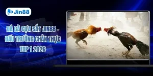 Đá gà JIN88 - Jin88 - hình ảnh - vwkjgpsxh.top Đá gà JIN88 - Jin88 - hình ảnh - vwkjgpsxh.top