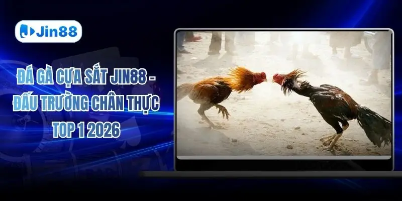 Đá Gà Cựa Sắt JIN88 – Đấu Trường Chân Thực Top 1 2026 - hình ảnh - vwkjgpsxh.top