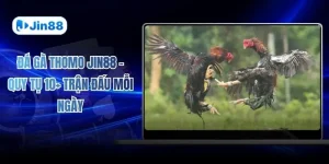 Đá gà JIN88 - Jin88 - hình ảnh - vwkjgpsxh.top Đá gà JIN88 - Jin88 - hình ảnh - vwkjgpsxh.top