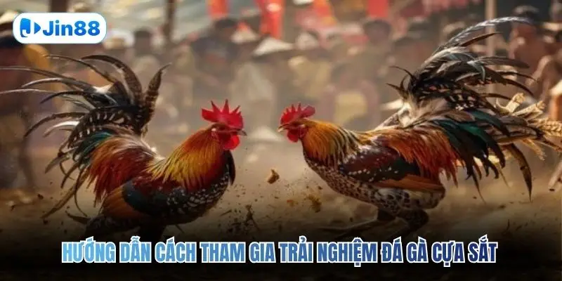 Đá Gà Cựa Sắt JIN88 – Đấu Trường Chân Thực Top 1 2026 - hình ảnh - vwkjgpsxh.top
